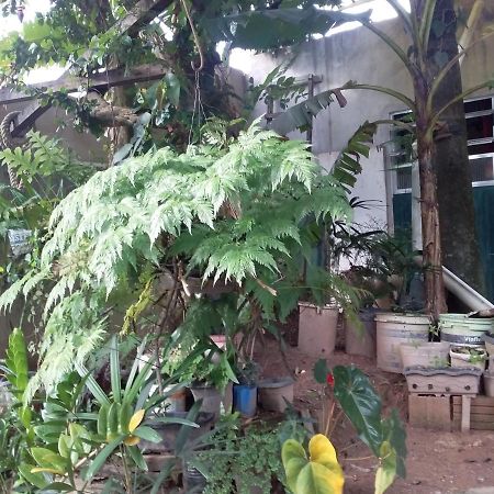 Hostel El Caleuche Rio das Ostras Extérieur photo